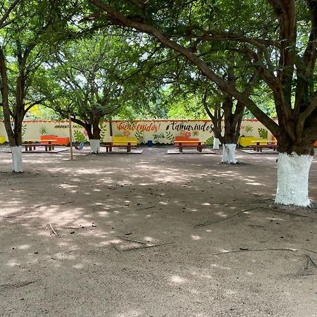 Hotel Tamarindos Zihuatanejo Eksteriør bilde